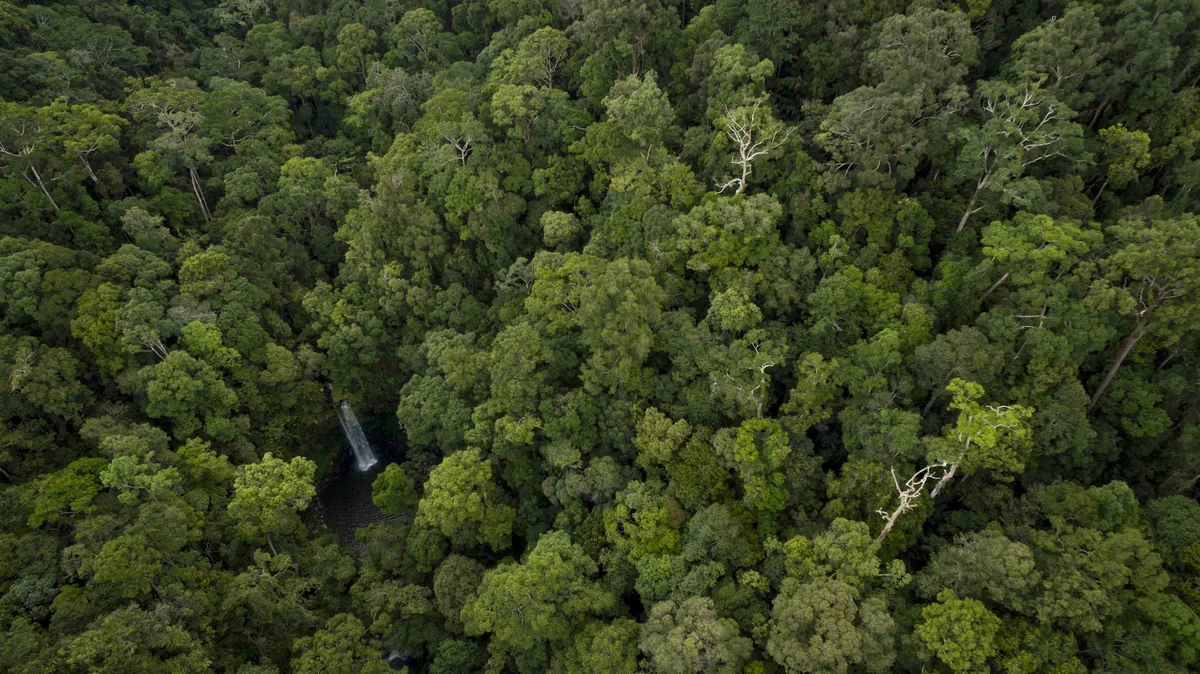 Borneo Maliau Basin rainforest waterfall